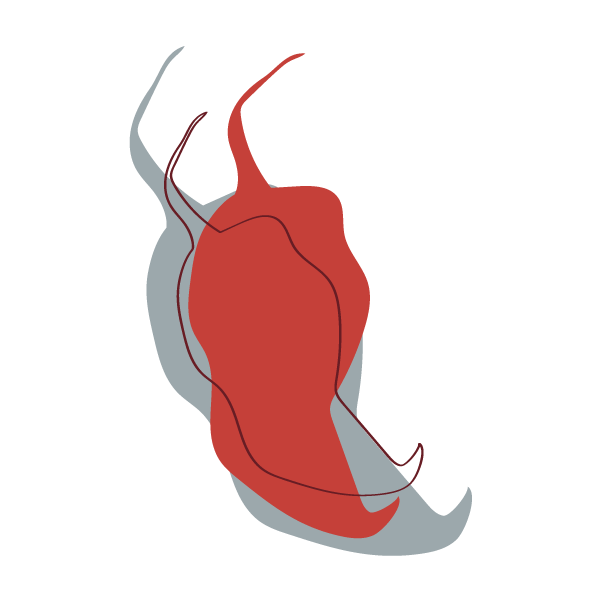 Loon Chocolate - Wholesale Chocolate Bar - Dark Chocolate with Ghost Pepper & Maine Sea Salt6