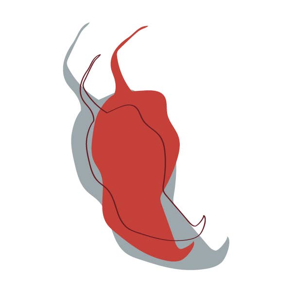 Loon Chocolate - Wholesale Chocolate Bar - Dark Chocolate with Ghost Pepper & Maine Sea Salt6