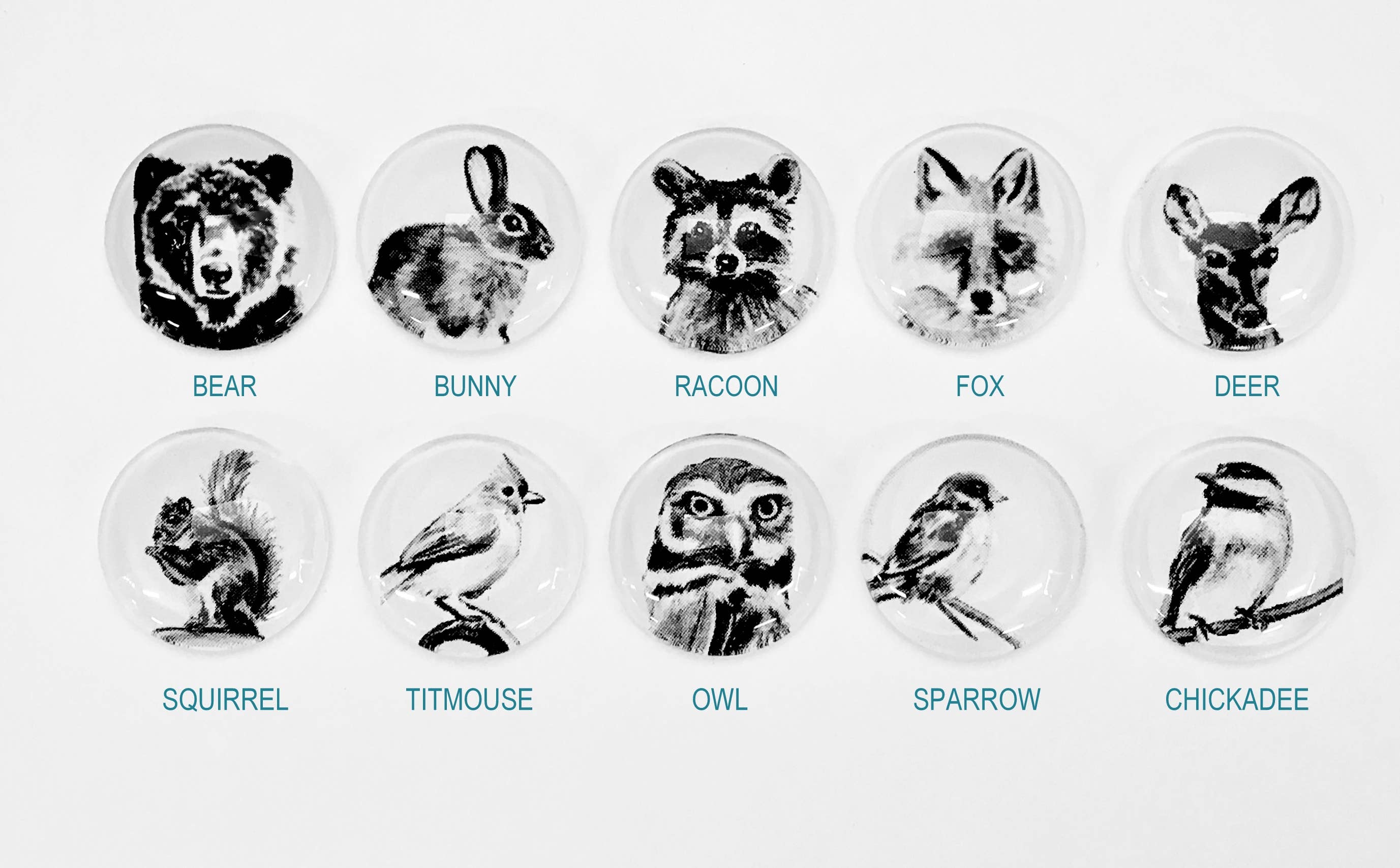 Tanner Glass - Wholesale Magnet - Magnets - Fauna Collection- 1" square, you choose the images4