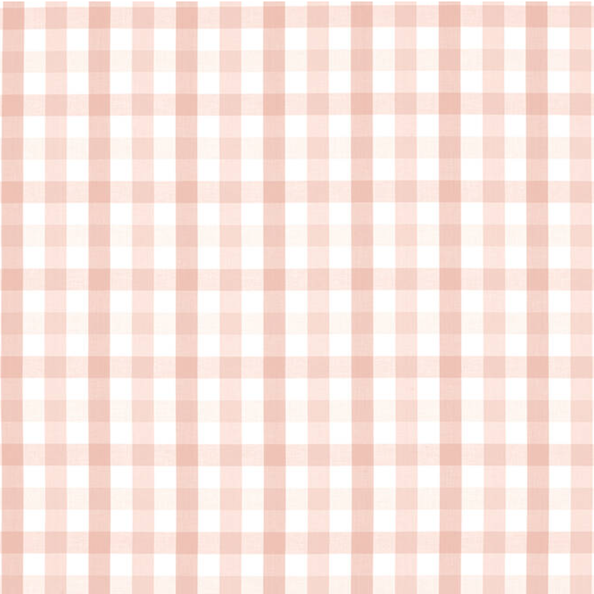 Wheaton Whaley Home - Wholesale Bedskirt - Saybrook Check by Thibaut Crib Skirt2