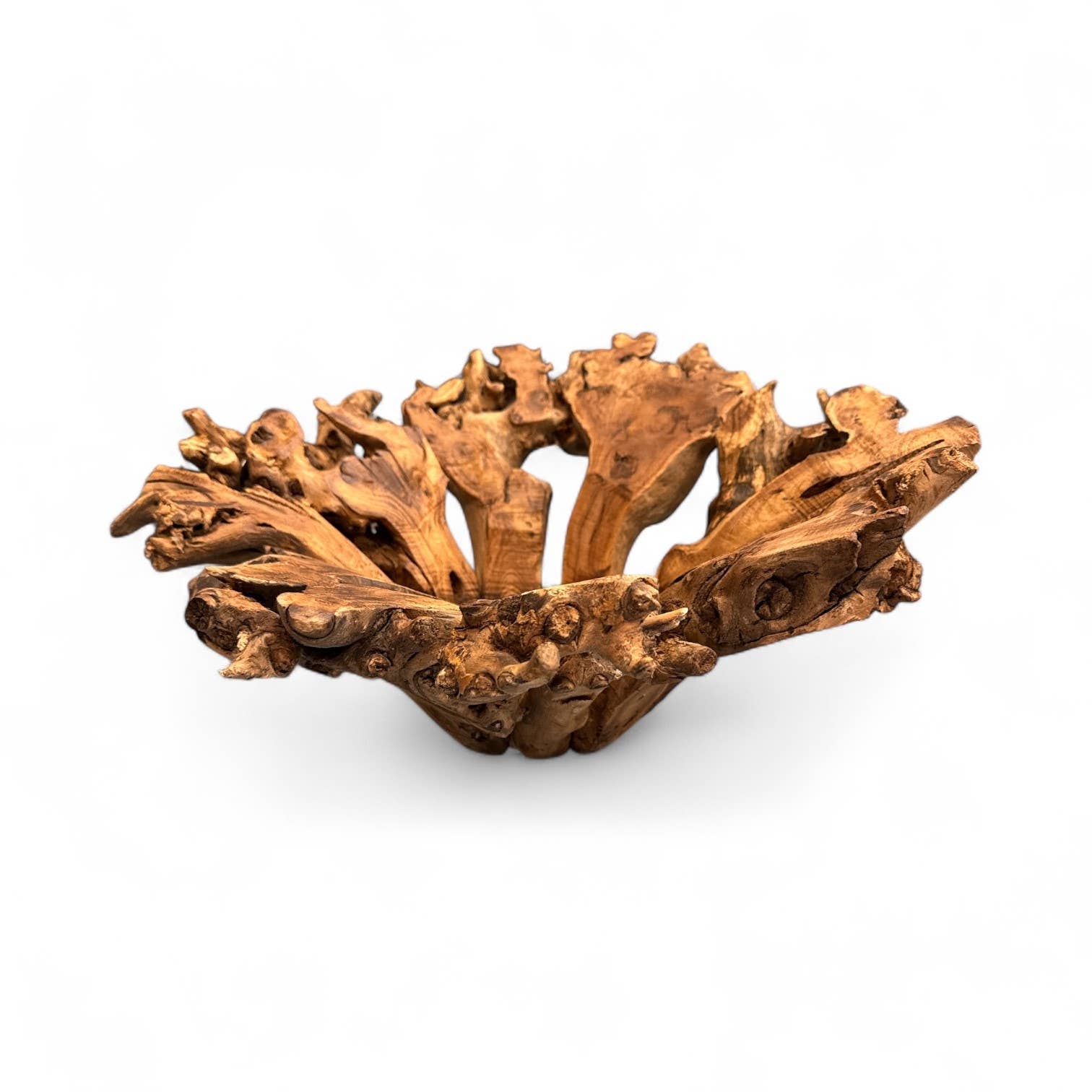 Forever Green Art - Wholesale Decorative Plate/Dish/Bowl - Large Branchy Wood Bowl1