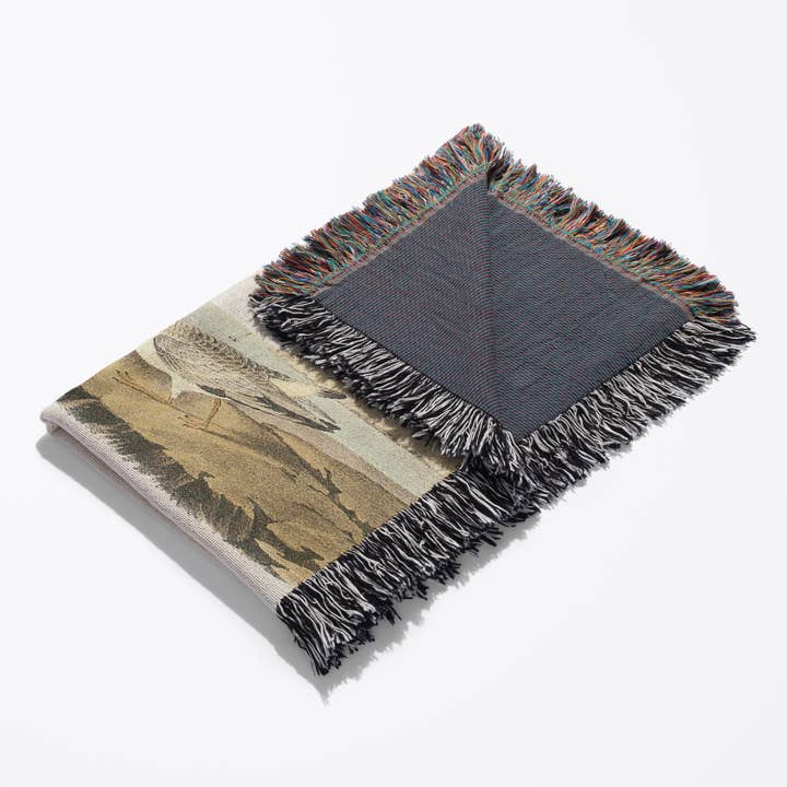 3dRose - Vendita all'ingrosso Plaid - 3dRose, Fratino Piping di John James Audubon, Coperta3