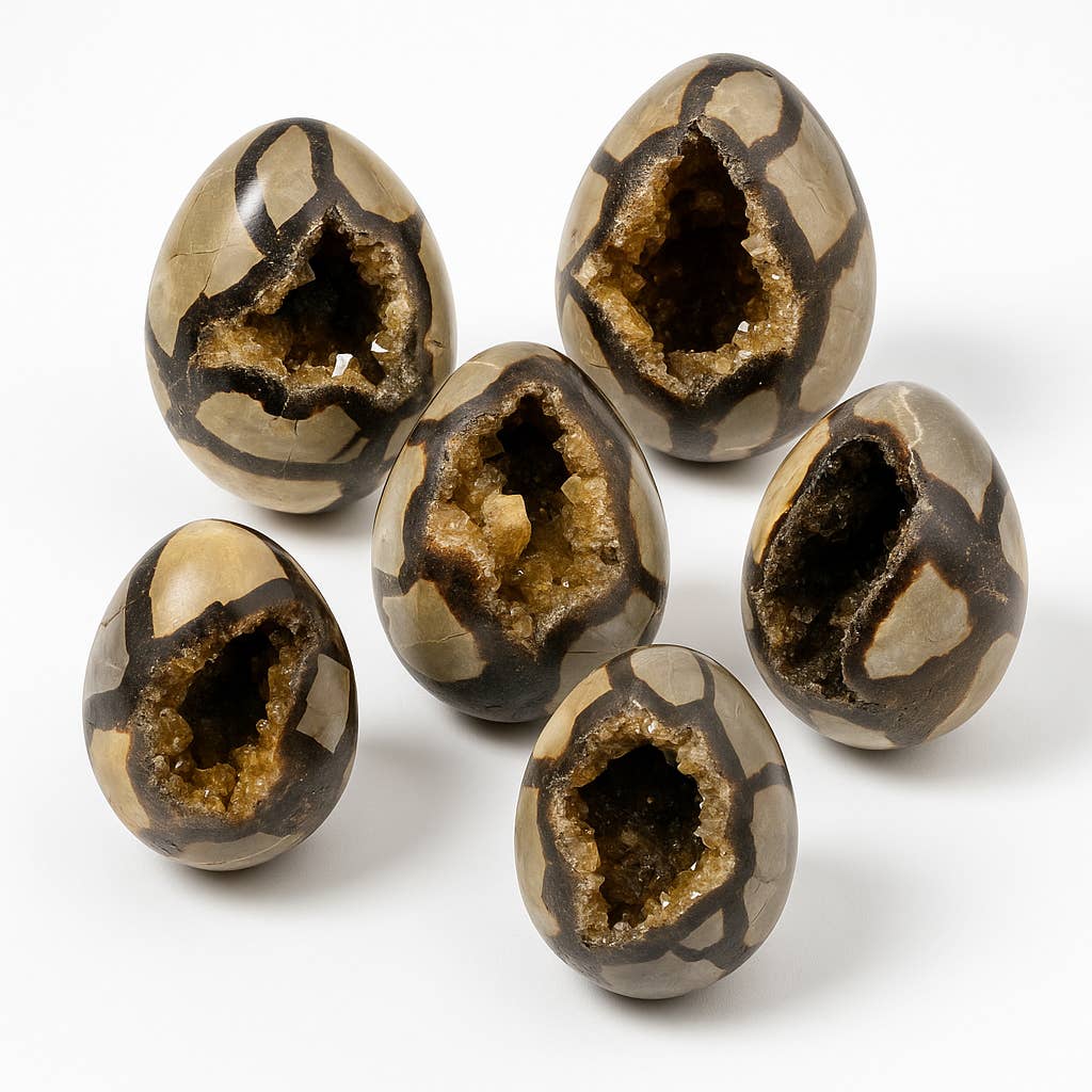 Kreateur Miami - Wholesale Spiritual Stone/Crystal - Septarian Dragon Stone Egg Geodes – 5 KG Mixed Lot