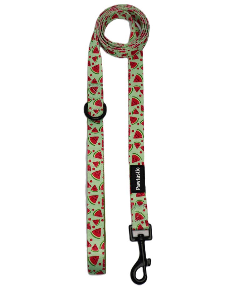 Watermelon Pet Leash for wholesale by Pawtastic Bandanas