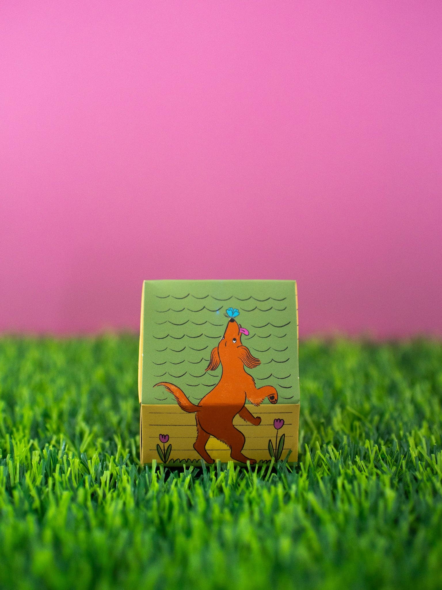 A Shop of Things - Vendita all'ingrosso Fiammifero - Fiammiferi a forma di casetta per cani3