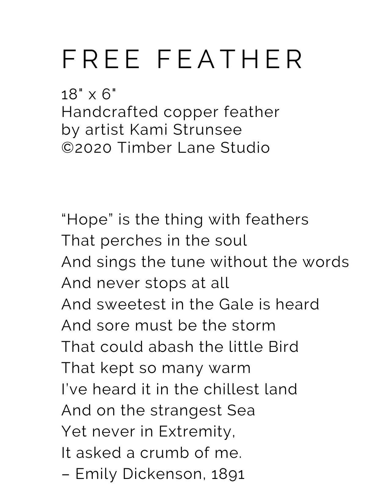 Timber Lane Studio - Wholesale Wall Accent - Giant Copper Feather9