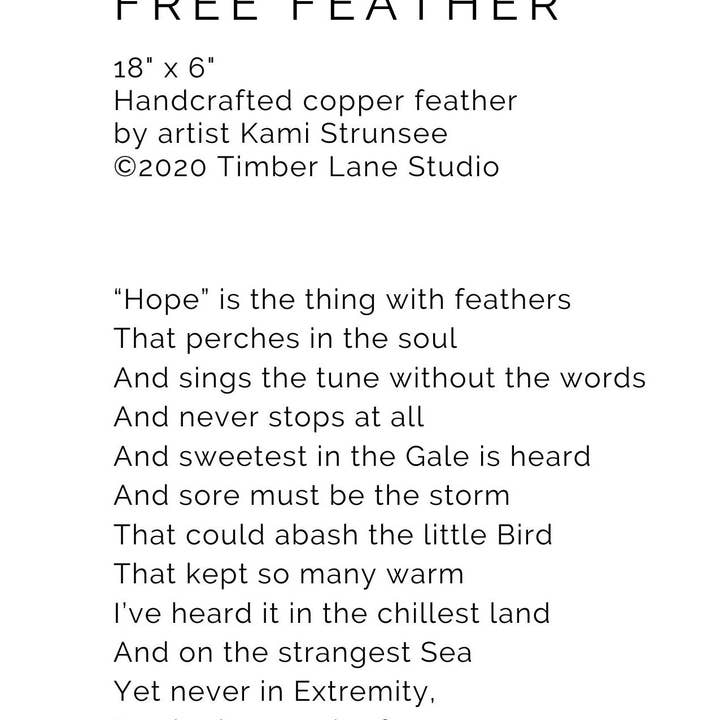 Timber Lane Studio - Wholesale Wall Accent - Giant Copper Feather9