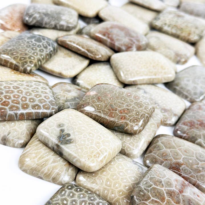 Pietra Naturale di Crisantemo 30x40mm Cabochon Rettangolare - Lotto di 45 pezzi per la vendita all'ingrosso da parte di Hartman & Rose