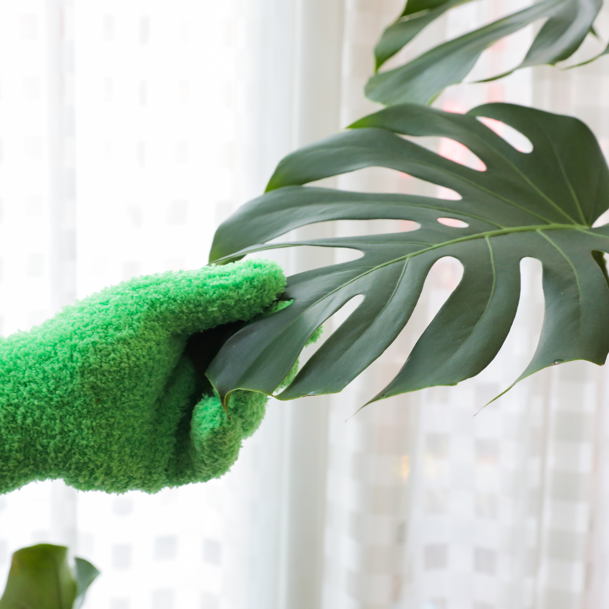 Mossify - Wholesale Garden Gloves - 2 Microfiber Gloves – Reusable Leaf-Shining Gloves for Plant12