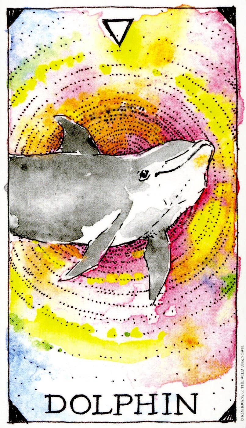 HarperCollins - Wholesale Tarot/Oracle Card - Wild Unknown Animal Spirit Deck and Guidebook2