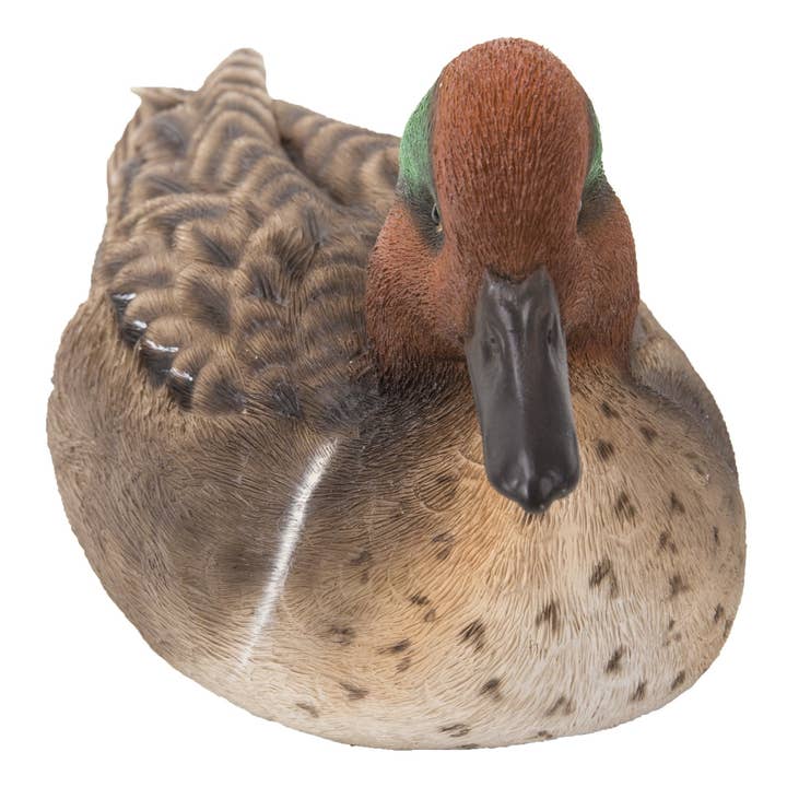 Hi-Line Gift Ltd. - Wholesale Decorative Figurine - Large Green Wing Mallard Decorative Figurine5