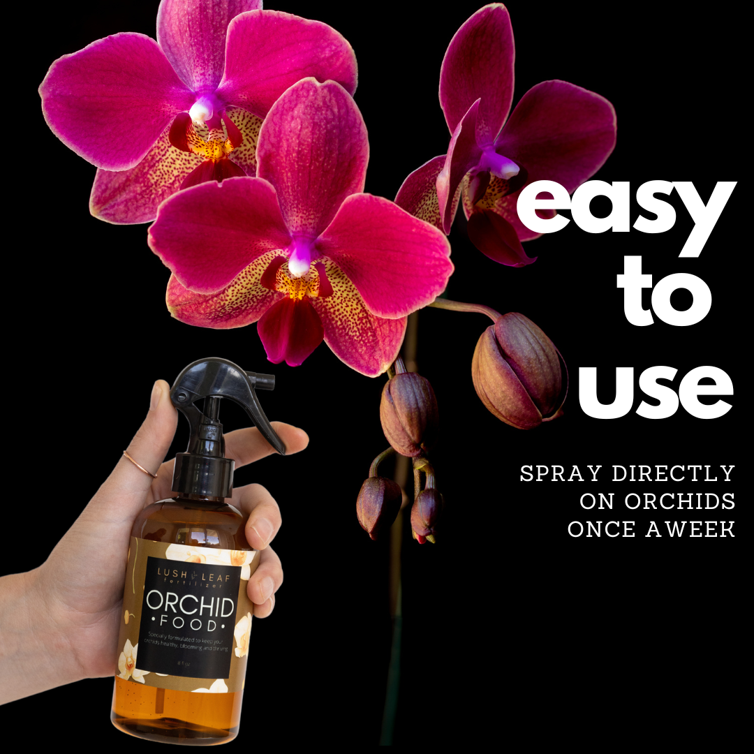 Lush Leaf - Wholesale Fertilizer - Orchid Plant Food3