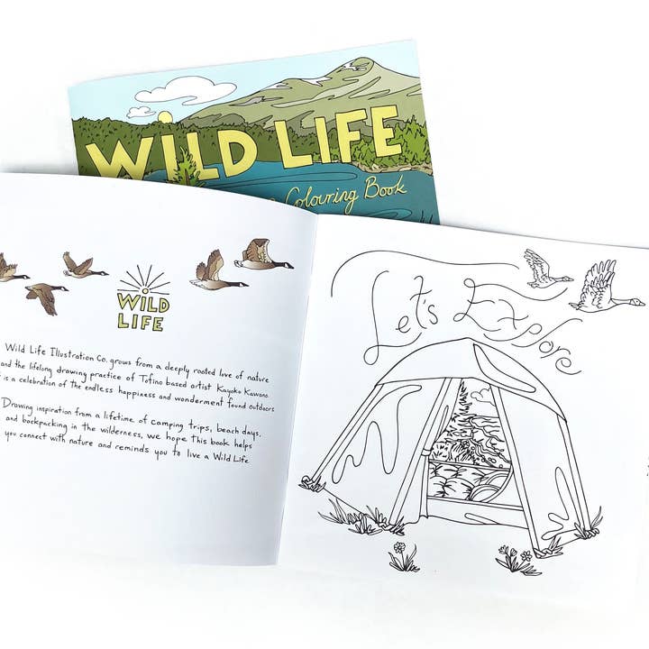 Wild Life Illustration Co. - Wholesale Coloring & Activity Book - Kids & Baby - Wild Life Camp Colouring Book1
