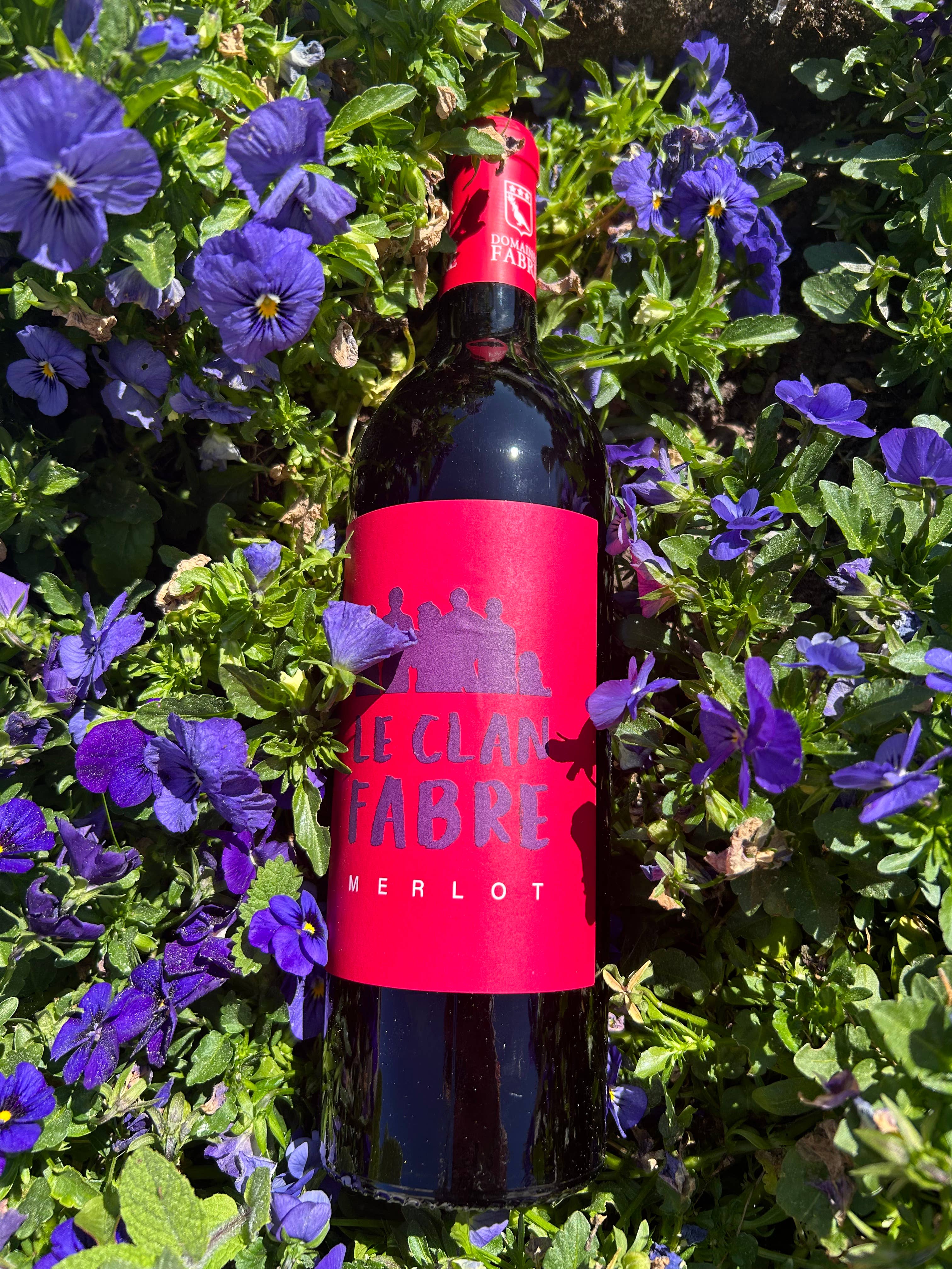 Domaines Fabre - Wholesale Red Wine - The Fabre Clan 100% Merlot Red Wine2