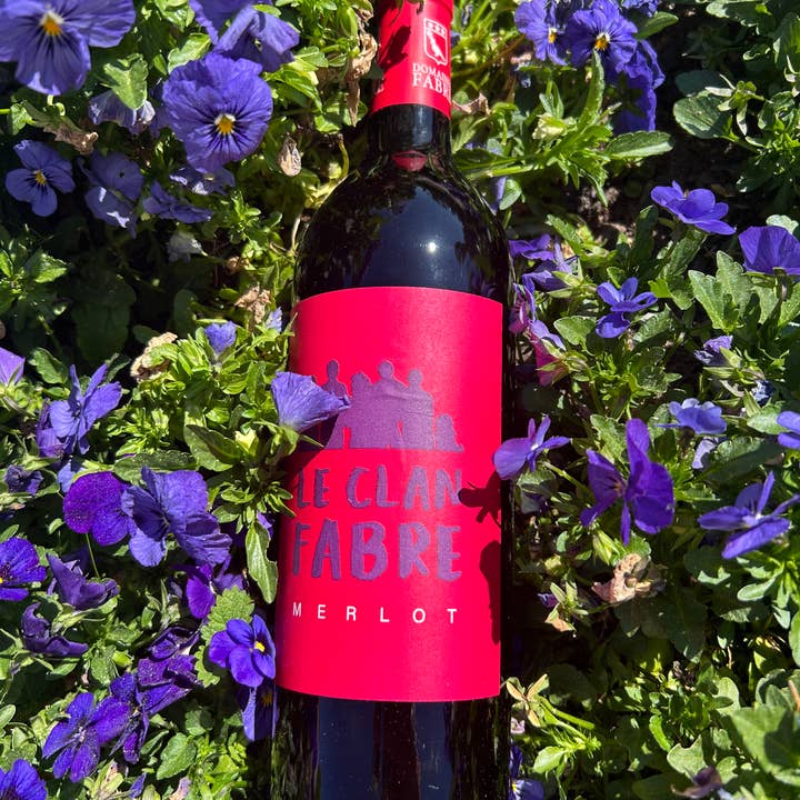 Domaines Fabre - Wholesale Red Wine - The Fabre Clan 100% Merlot Red Wine2