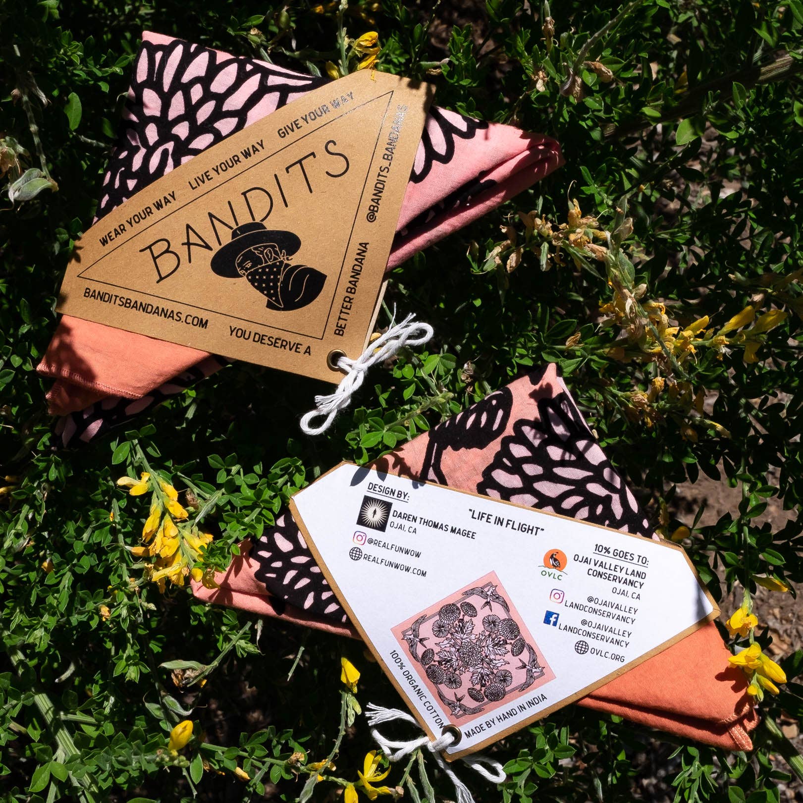 BANDITS Bandanas - Wholesale Bandana - Unisex - "Life In Flight"1