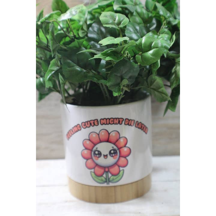 Feeling Cute Might Die Later // Ceramic Planter/w tray for wholesale by Raven Design