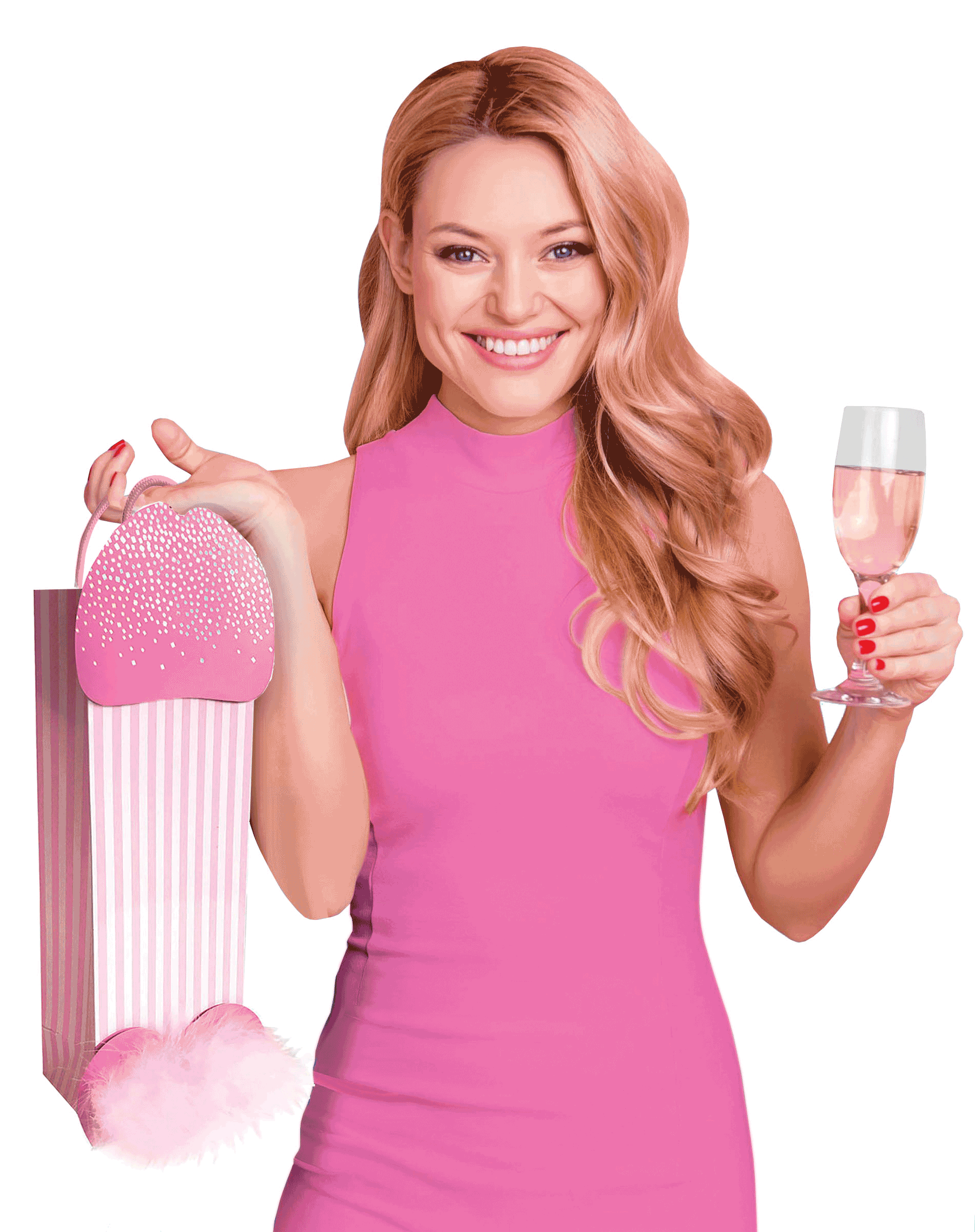 Little Genie Productions - Wholesale Gift Bag - Pink Penis Gift Bag2