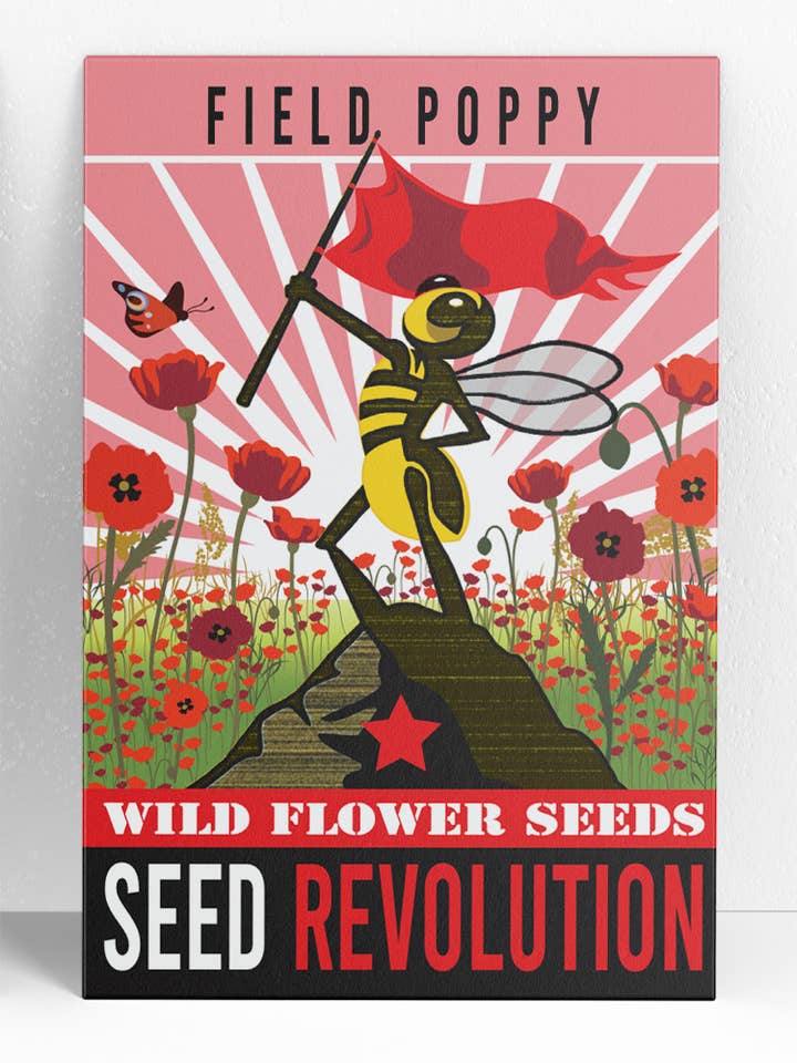 Field Poppy Wildflower Seeds – Native Red Poppy Flower for wholesale by Seed Revolution