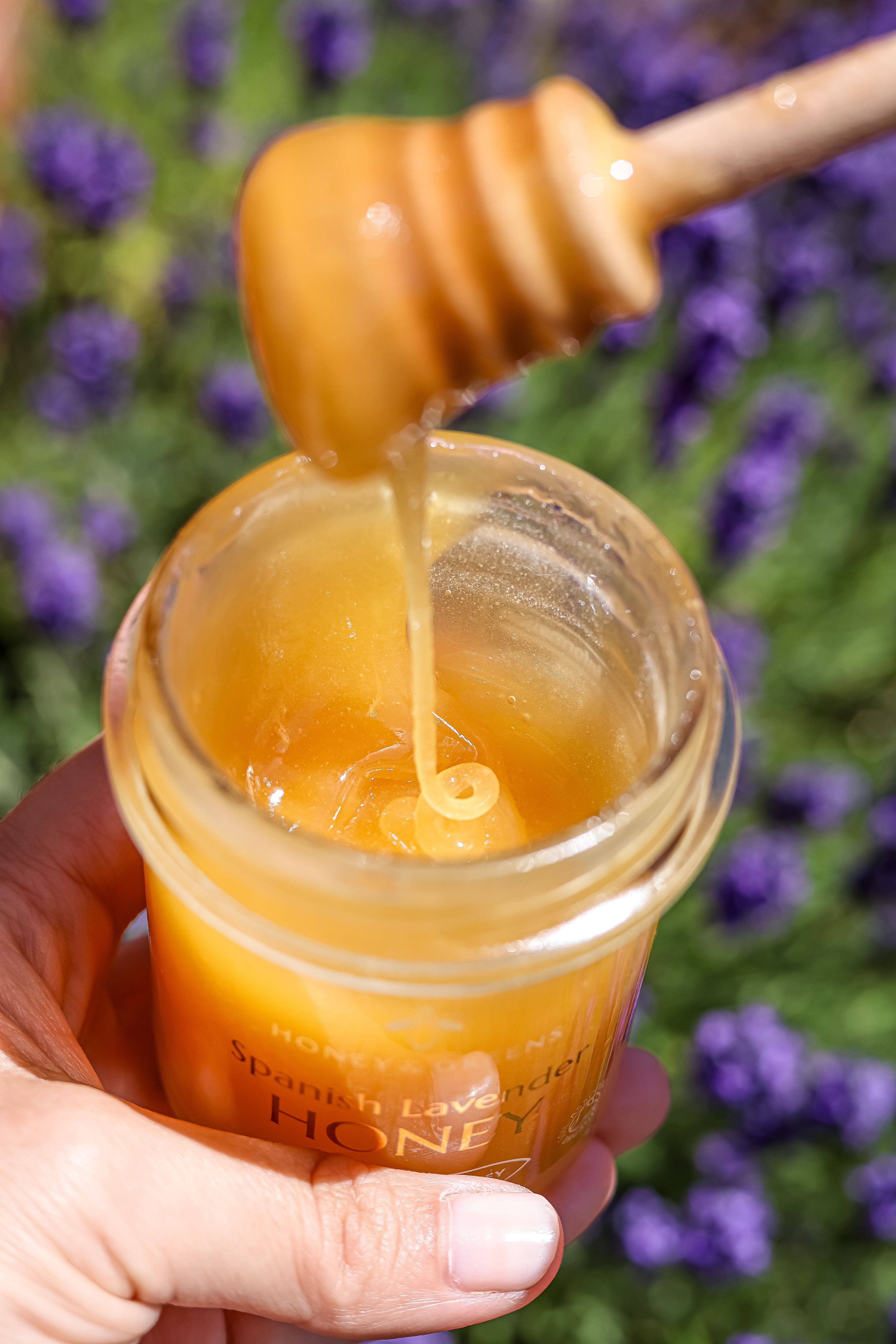 Honey & Greens – wholesale Honey – Spanish Raw Organic Lavender Honey 2