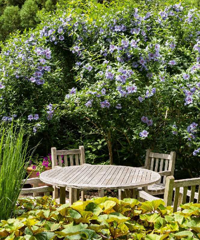 Simon & Schuster - Wholesale Home & Garden - Gardens of the Hamptons by Blue Carreon6