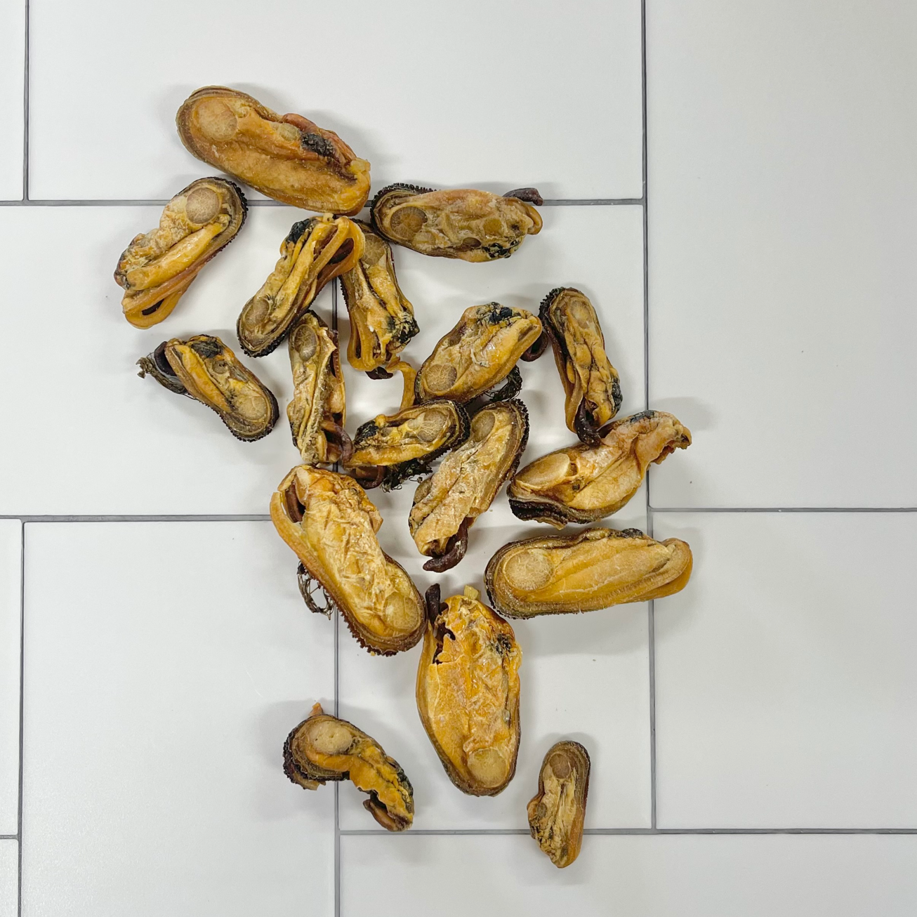 Rover Pet Products - Wholesale Pet Treats - Dog - Gettn' Lippy Wit It - Green Lipped Mussels3