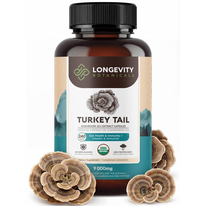 Organic Turkey Tail 240 Capsules: Gut & Immune Supplement for wholesale by Longevity Botanicals
