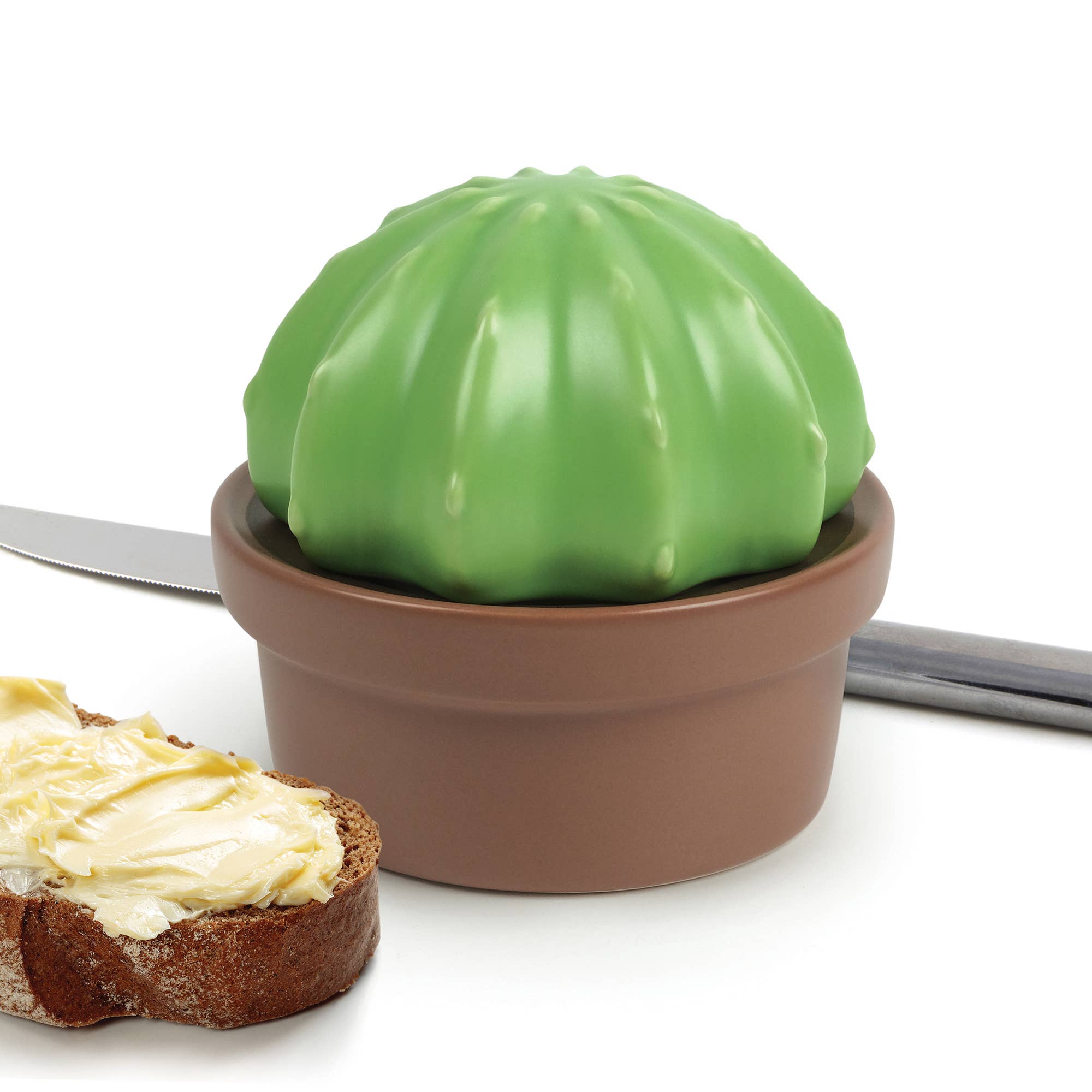 Fred & Friends - Wholesale Butter Dish - HOUSE PLANT - Ceramic Cactus Butter Storage4