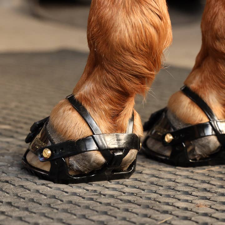 Intrepid International - Wholesale Horseback Riding Gear - Scoot Boot Enduro Hoof Boots - Black2