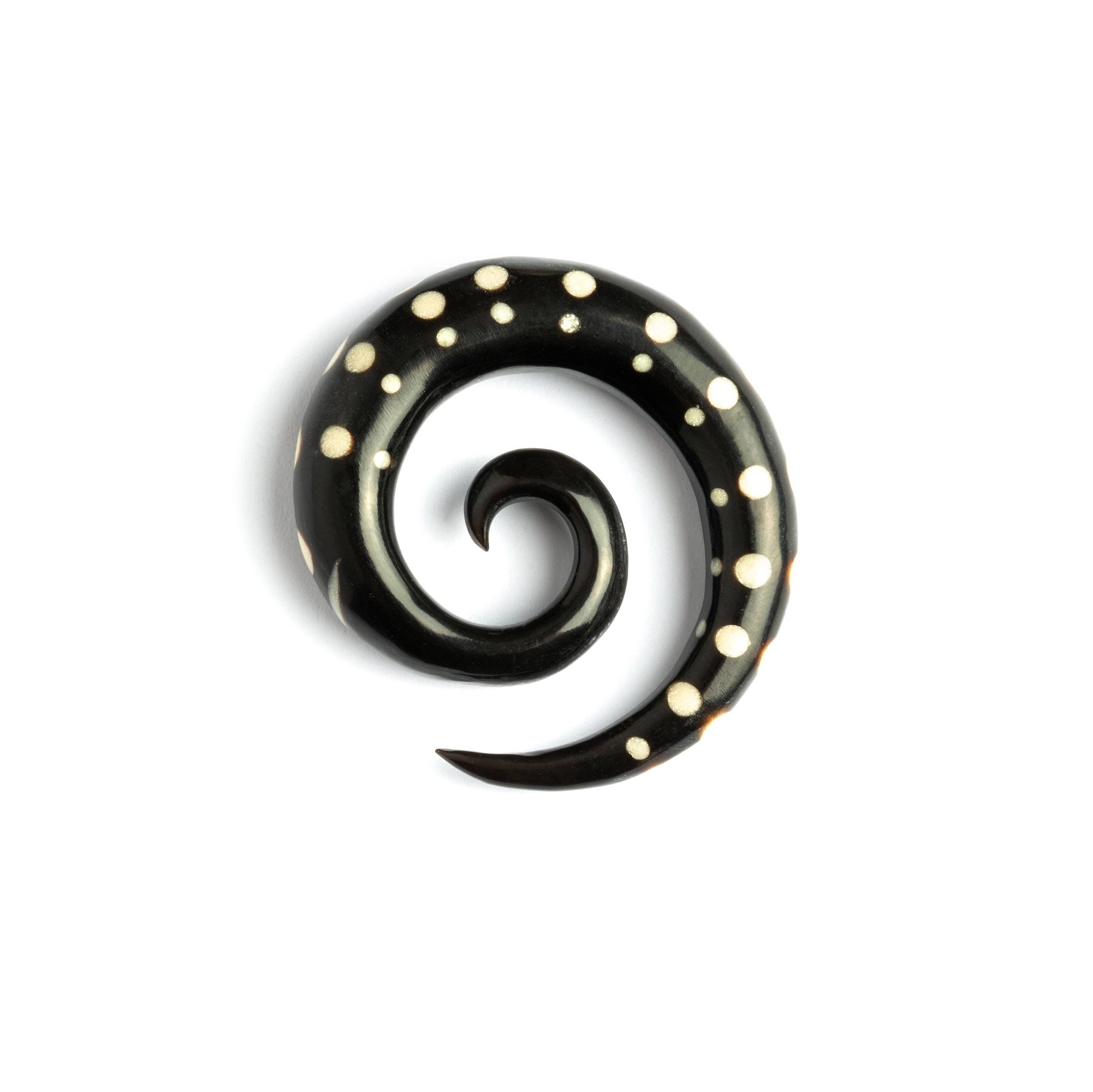 Tribu - Wholesale Gauge/plug earrings - Dotted Spiral Gauges1