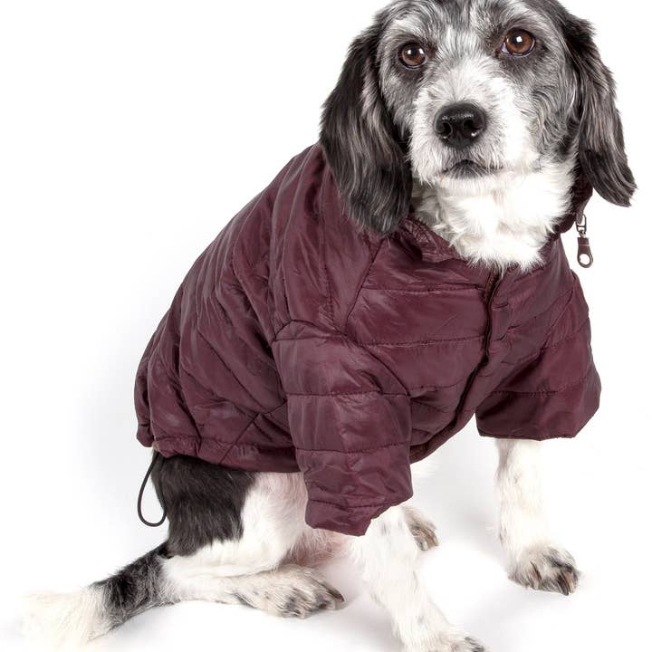 Pet Life – Engroshandel Overtræk - Hund – Letvægts Justerbar 'Sporty Lavine 'Pet Coat1