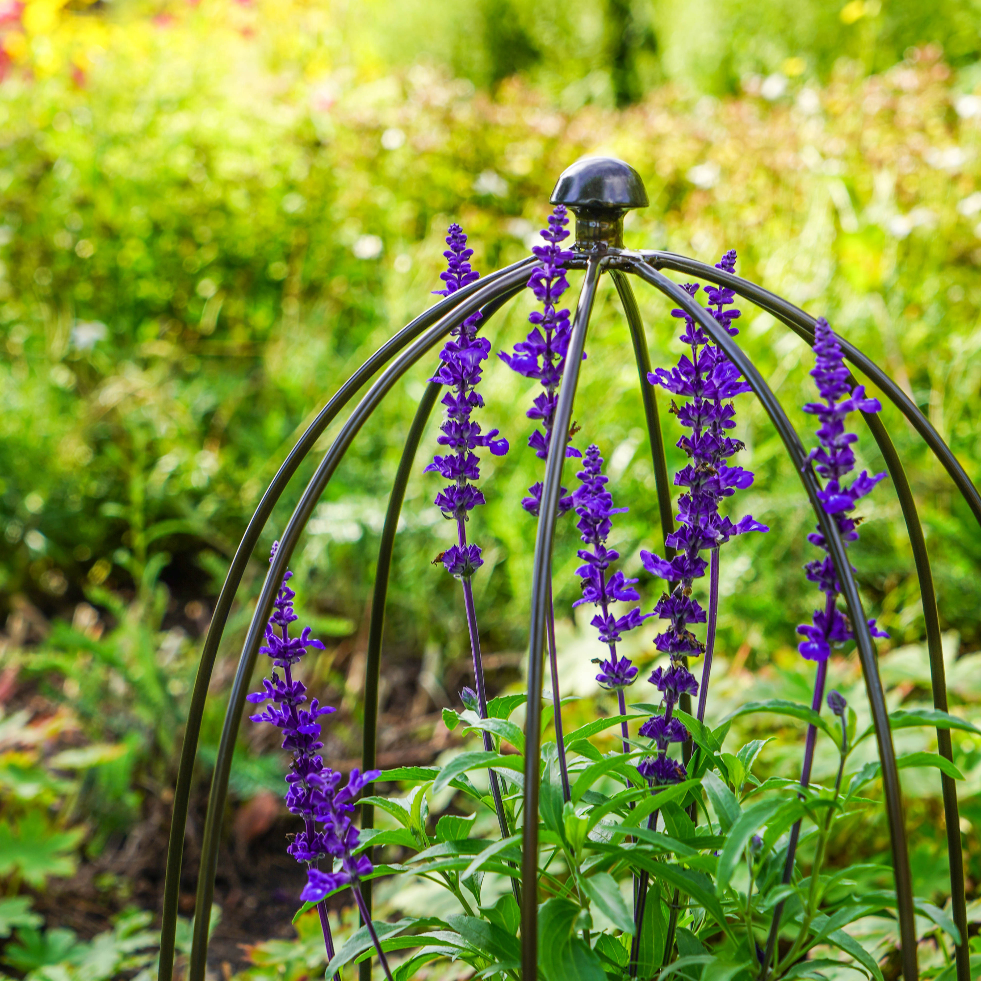 Ivyline International - Wholesale Planting Net/Cover - Outdoor Plant Support H50cm W26cm3