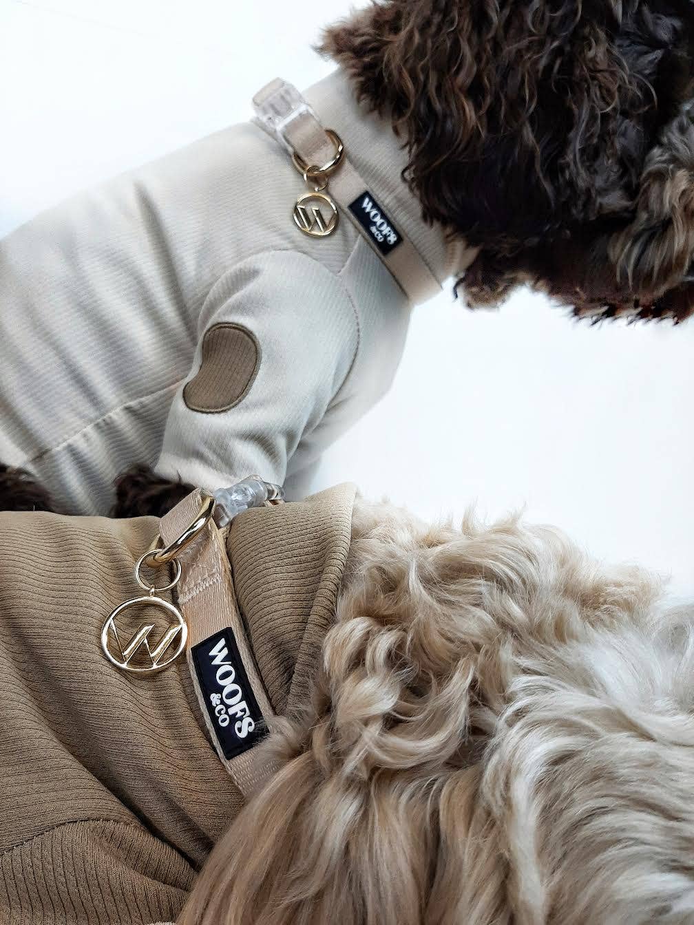 Woofs & Co – coleira - Cão por atacado – Colar com Pendente - Dune4