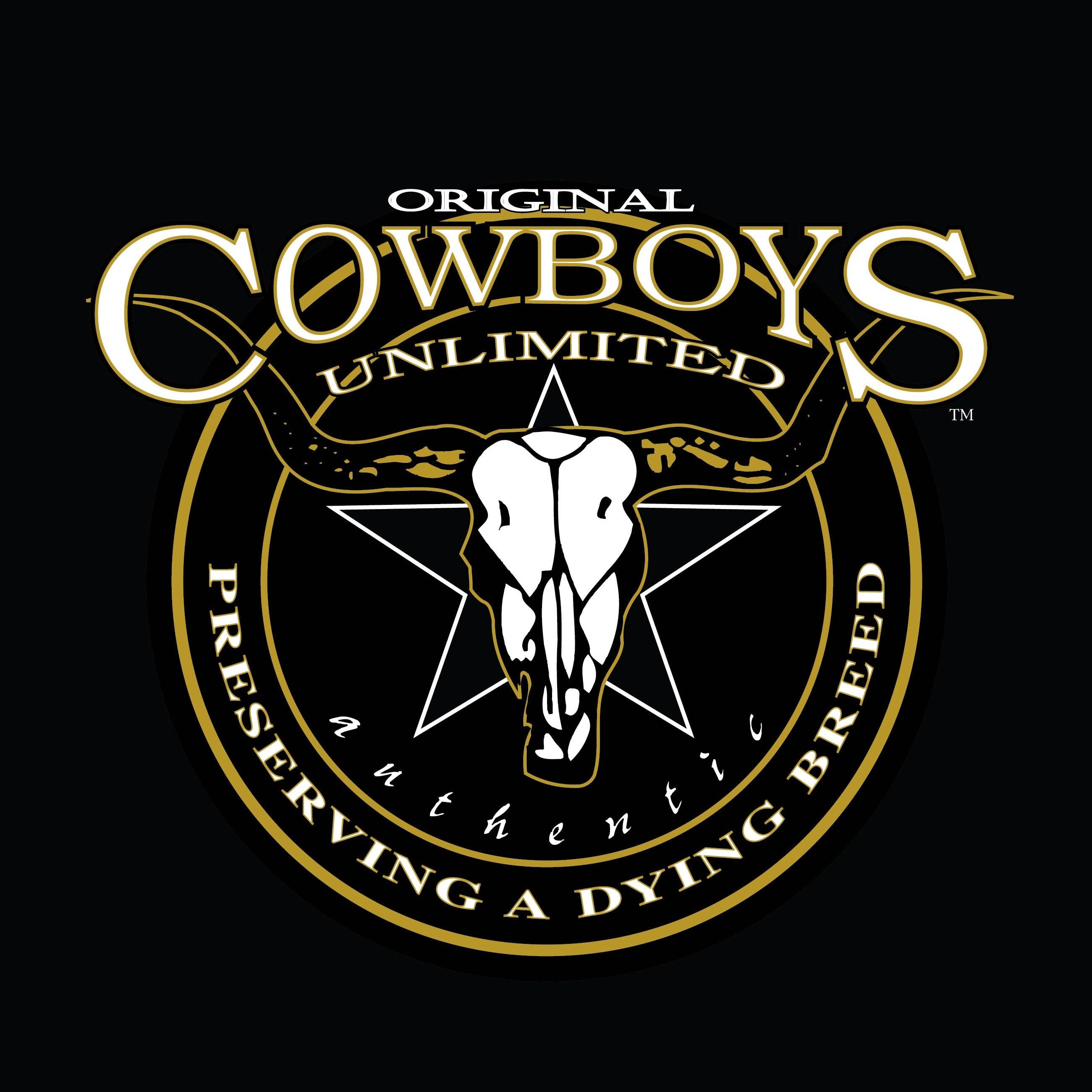 Black Authentic Skull for wholesale on Faire1