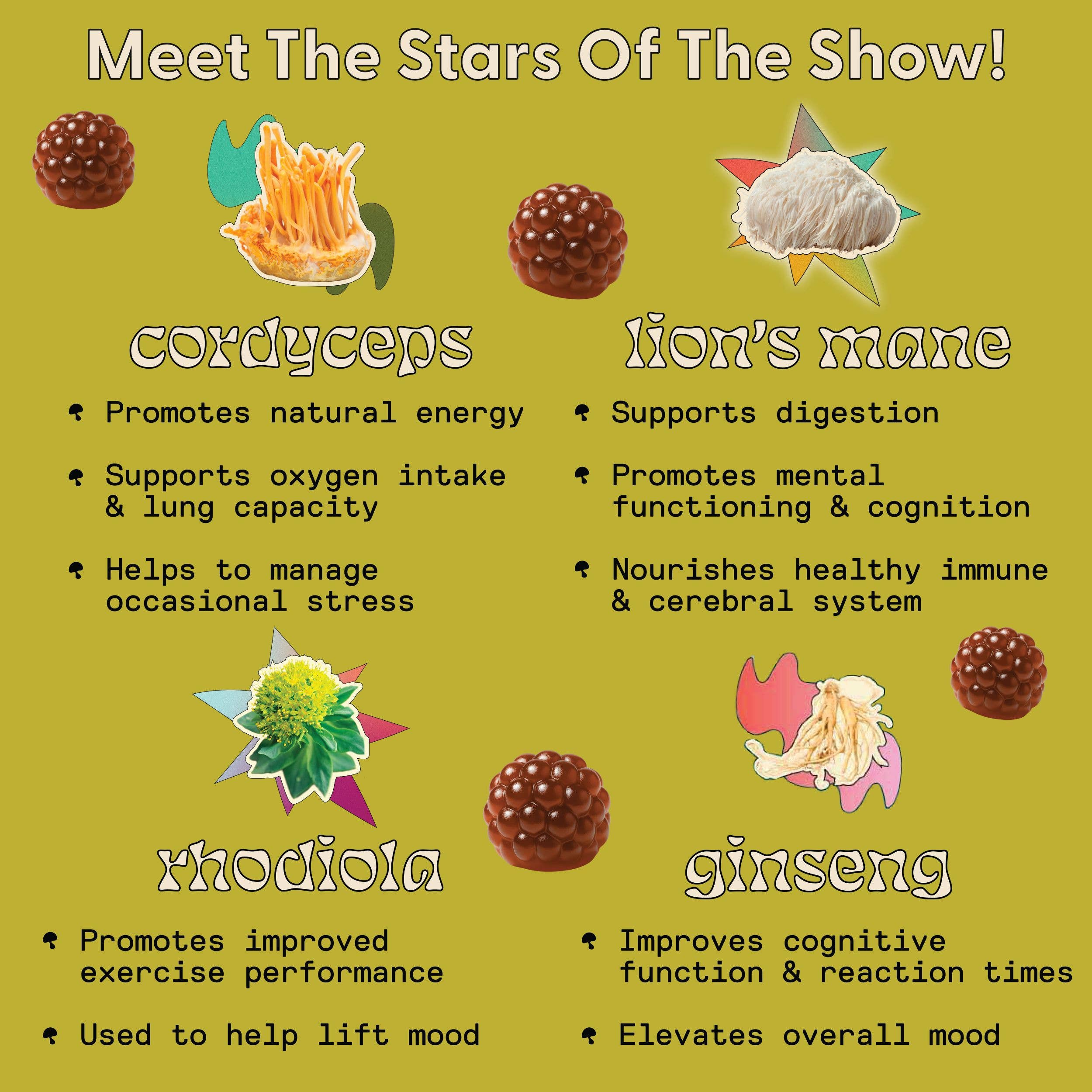 SuperMush - Wholesale Oral Supplement/Vitamin - Daily Energy Gummies3