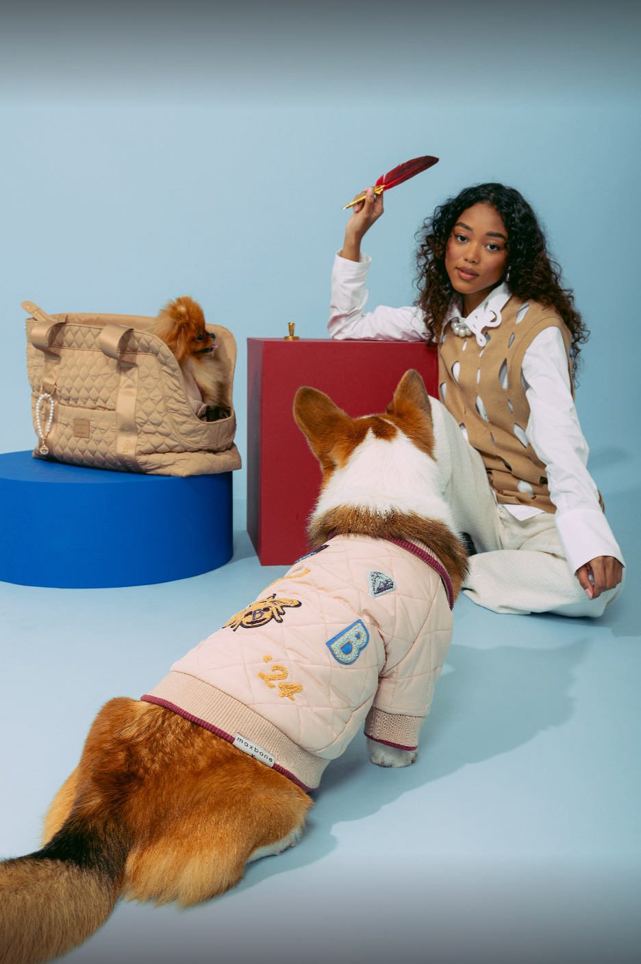 maxbone - Vente Caisse de transport – chien - Sac de transport pour chien Bridgerton x maxbone8