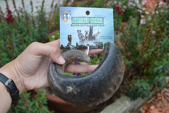 QT Dog, LLC - Wholesale Pet Treats - Dog - Buffalo Hornz5