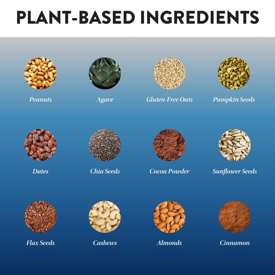 Protein Puck - Wholesale Snack Bar - Mighty Moxie (Cocoa, Cashew, Cinnamon) (16 - 3.25oz Bars)2