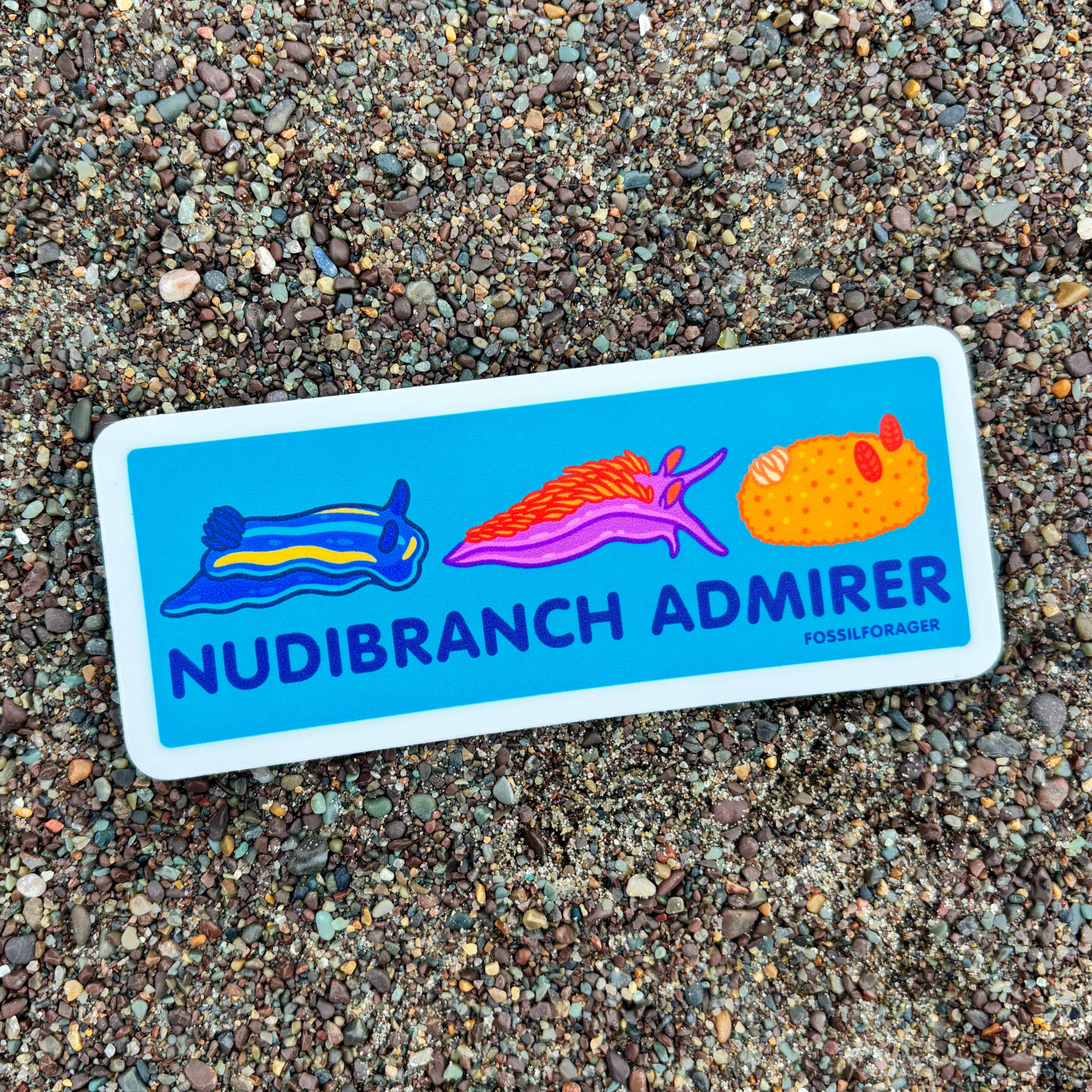 Fossil Forager - Wholesale Sticker - Nudibranch Admirer Sticker1