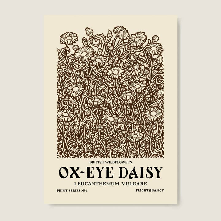 Ox-Eye Daisy Wildflower Print. A3 Riso Art Print for wholesale by flight & fancy
