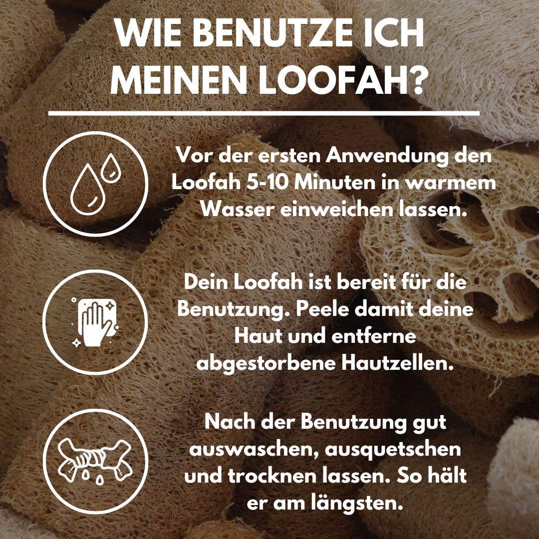 Loofahcrafts – Esponja por atacado – Kit de Teste Loofah - Luffa17