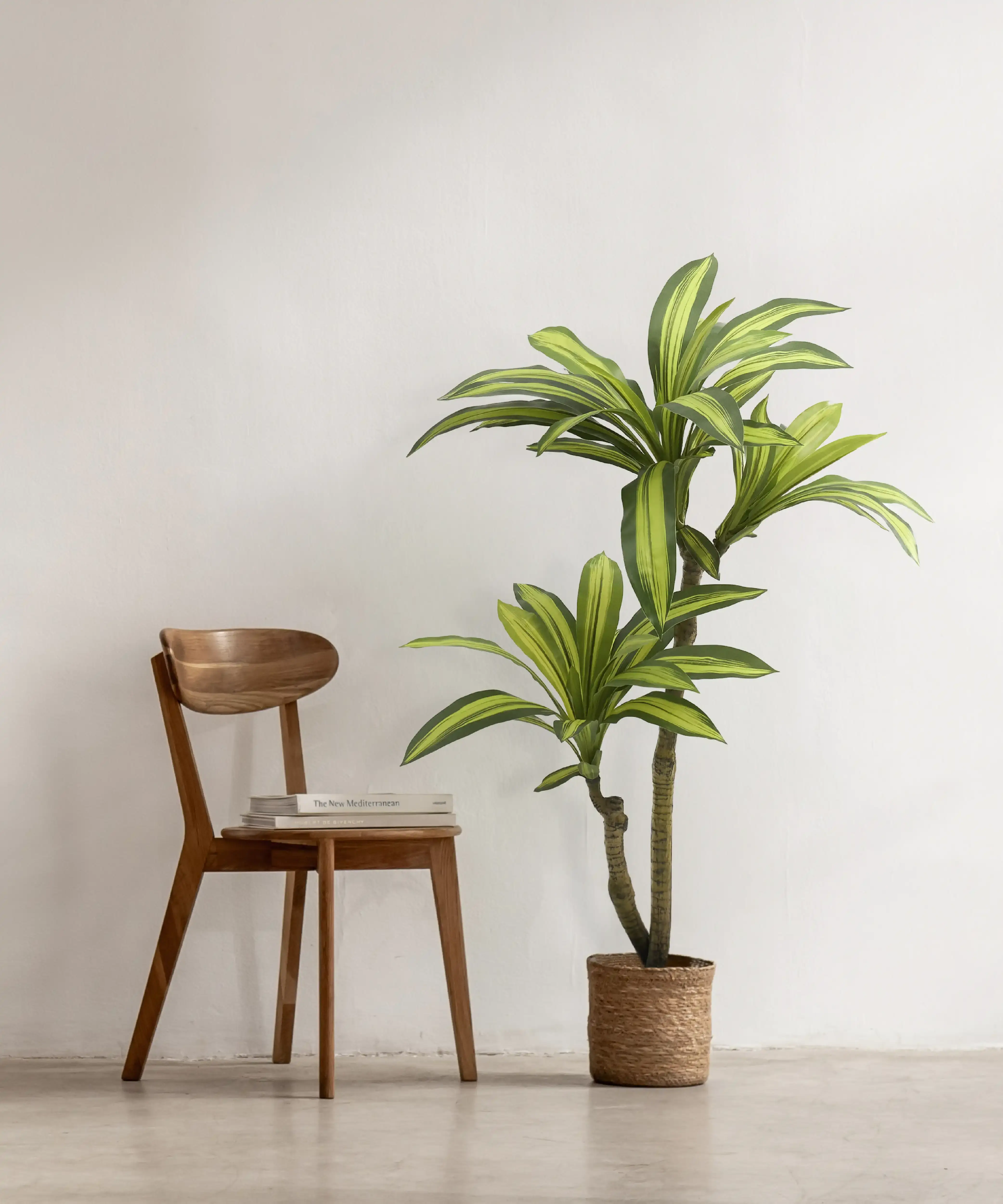 Maia Shop: No Duties for the US - Vente Plantes artificielles - Dracaena artificiel de 4,5'1
