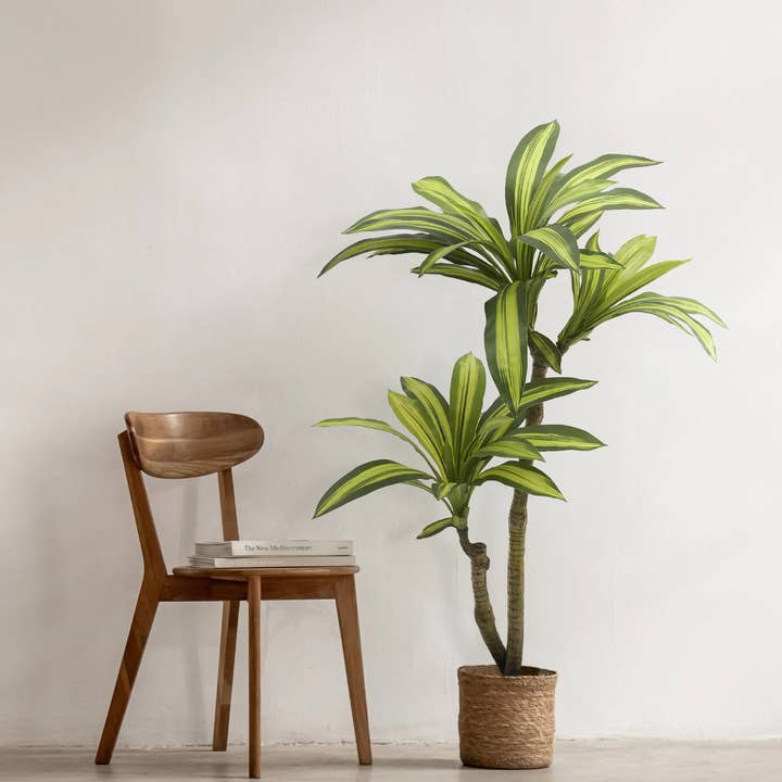 Maia Shop: No Duties for the US - Vente Plantes artificielles - Dracaena artificiel de 4,5'1