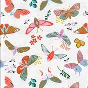 Borboleta - concha (RTS)
bandanas por atacado de Cookie & the Dude