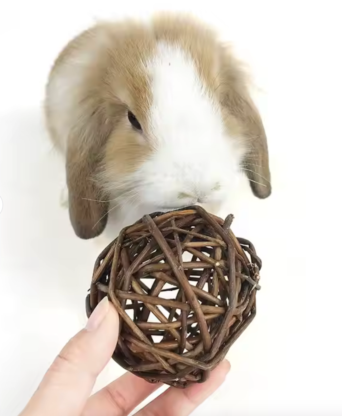 Binky Factory - Wholesale Pet Toy - Not Cat/Dog - Small Willow Ball1