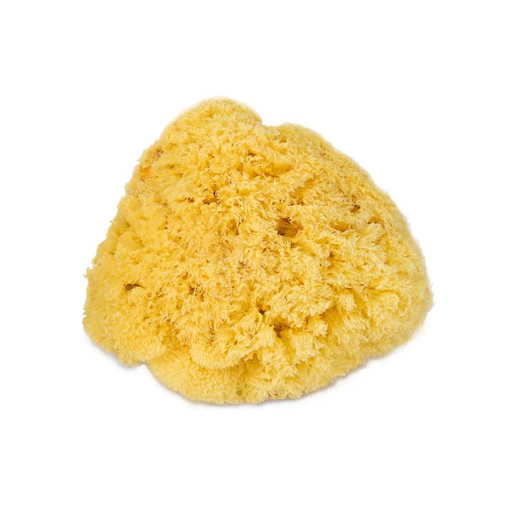 Soapology - Wholesale Bath Pouf/Sponge - Yellow Sea Sponge (Sml)