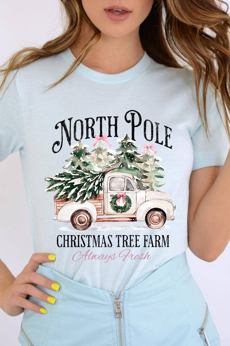 COLORBEAR – Großhandel T-Shirt (Grafikdruck) – Damen – Weihnachtsgrafik-T-Shirt Nordpol6