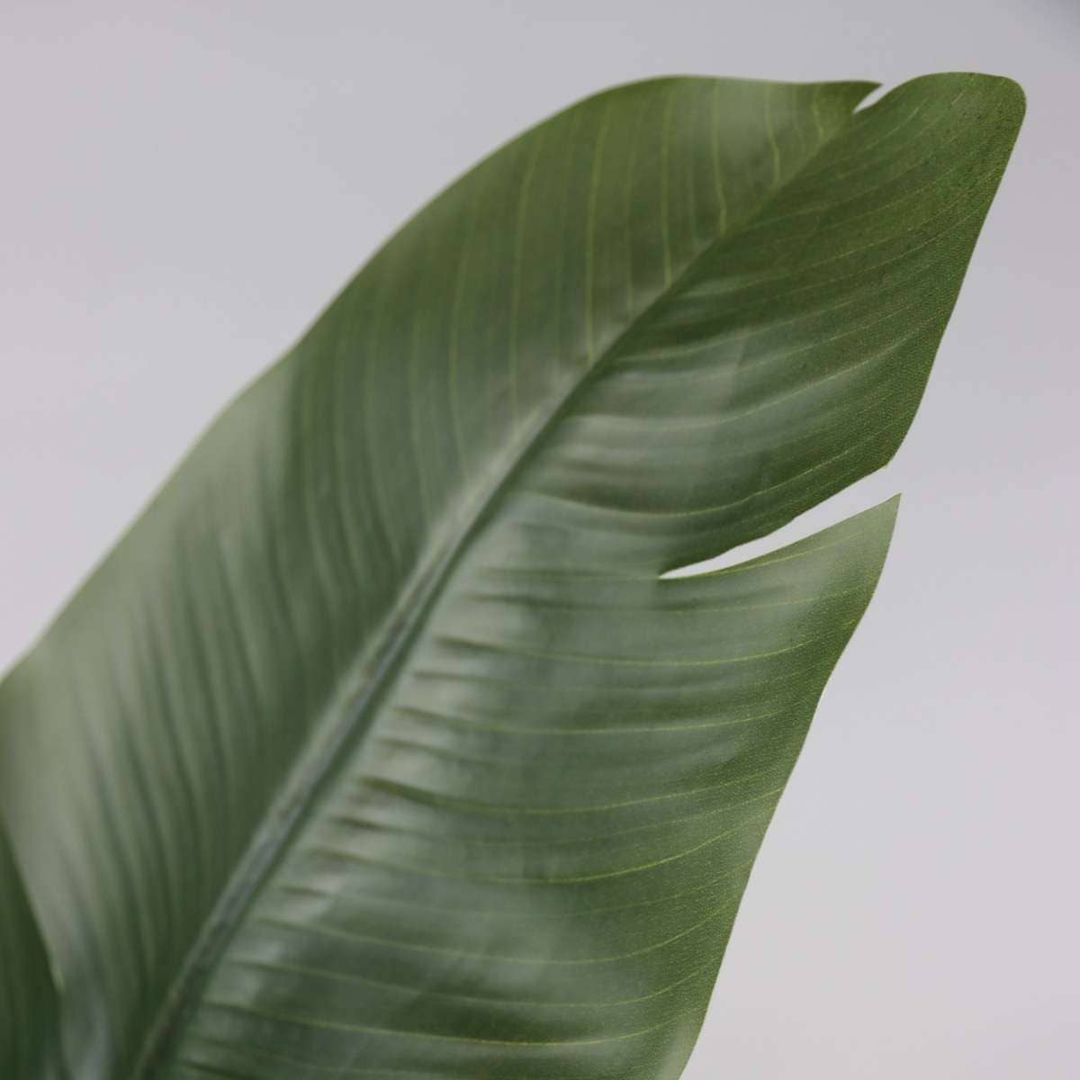 Oasis of Life – Planta artificial por atacado – Strelícia artificial – 160cm de altura – Flor de ave-do-paraíso – Planta artificial premium com folhas grandes – Decoração de interior realista – Sem necessidade de cuidados & duradoura8