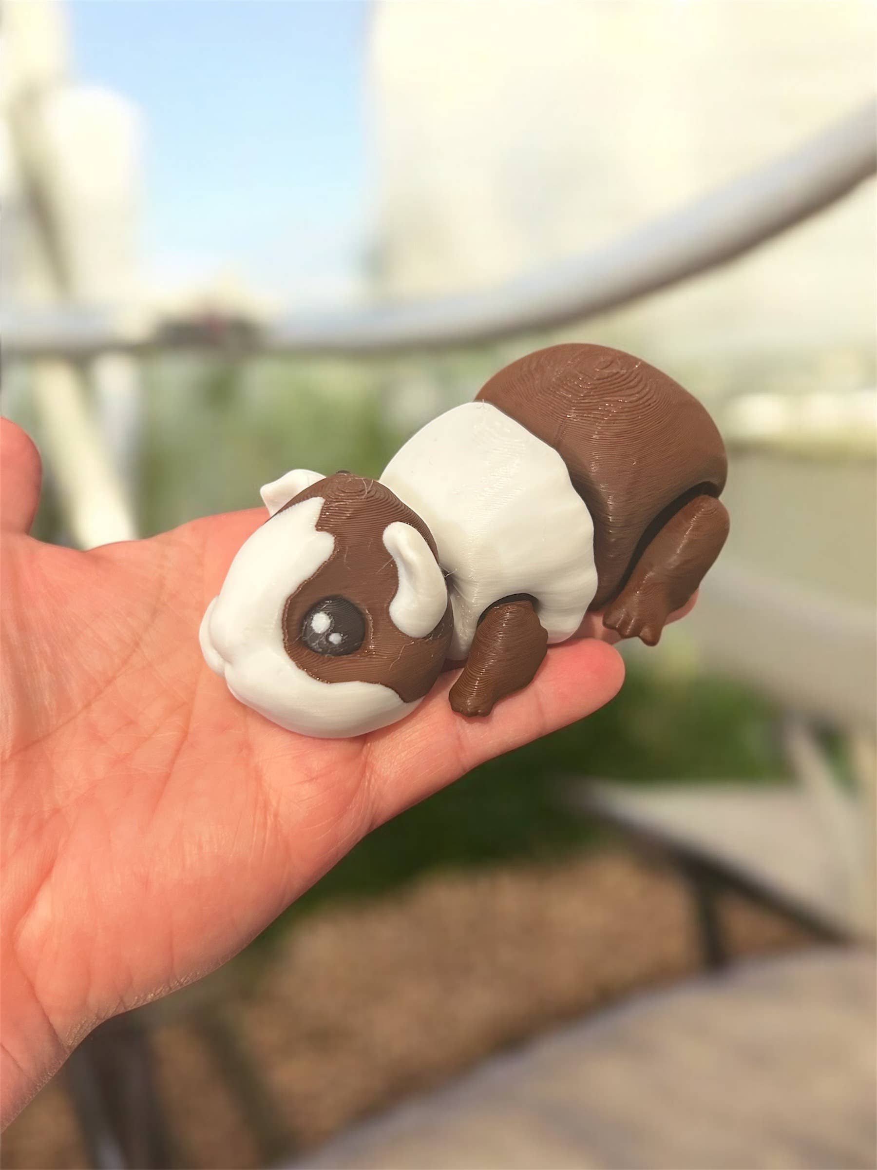 3D in Paradise - Vente Fidget/jouet anti-stress – enfant - Cochon d'Inde Fidget grande taille1