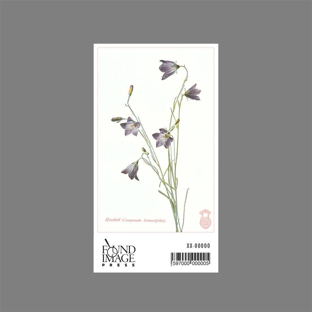 Found Image Press - Wholesale Sticker - Sticker FC-24 Harebell1